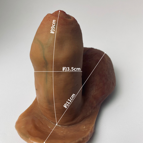 超リアル両用エピテーゼ【R4】